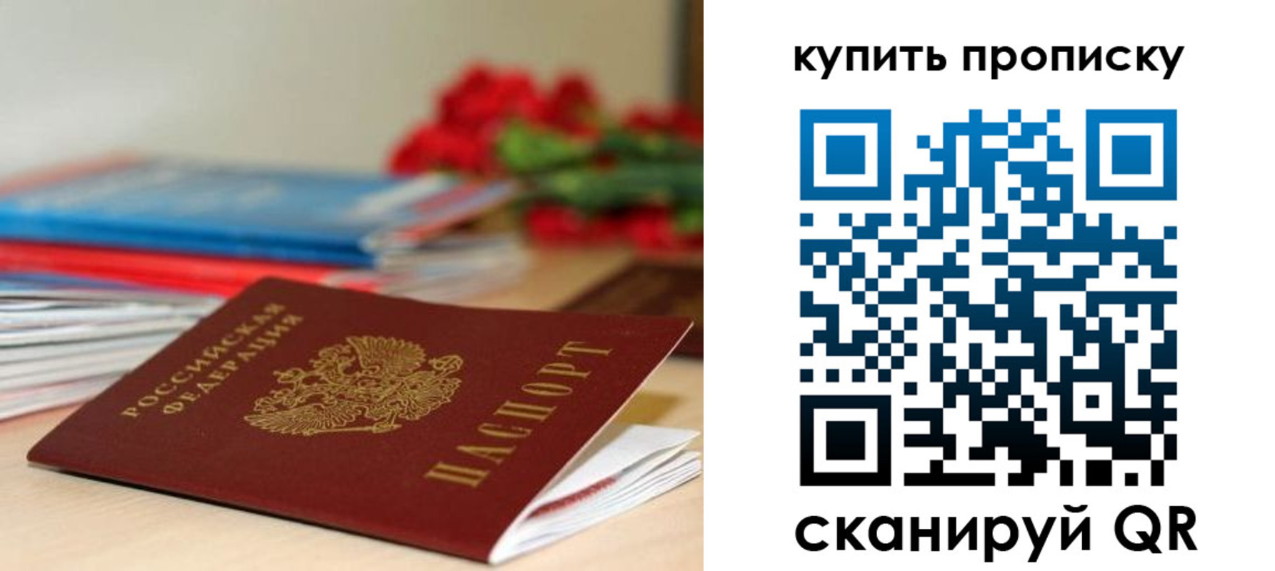 прописка в Невеле